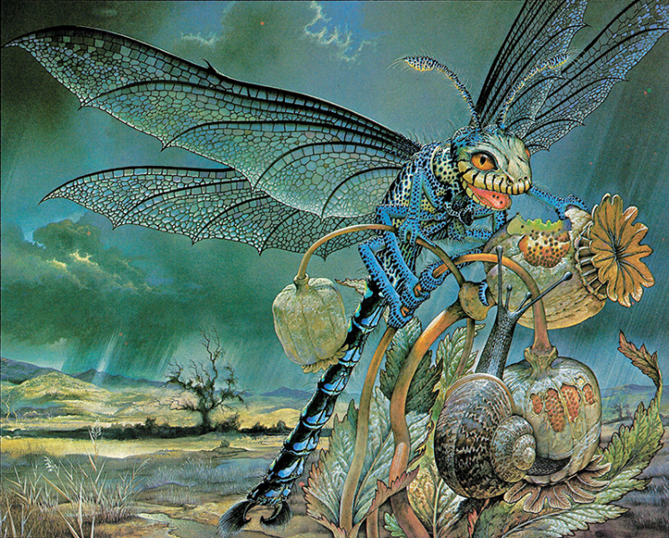 File:FoI Dragonfly.png